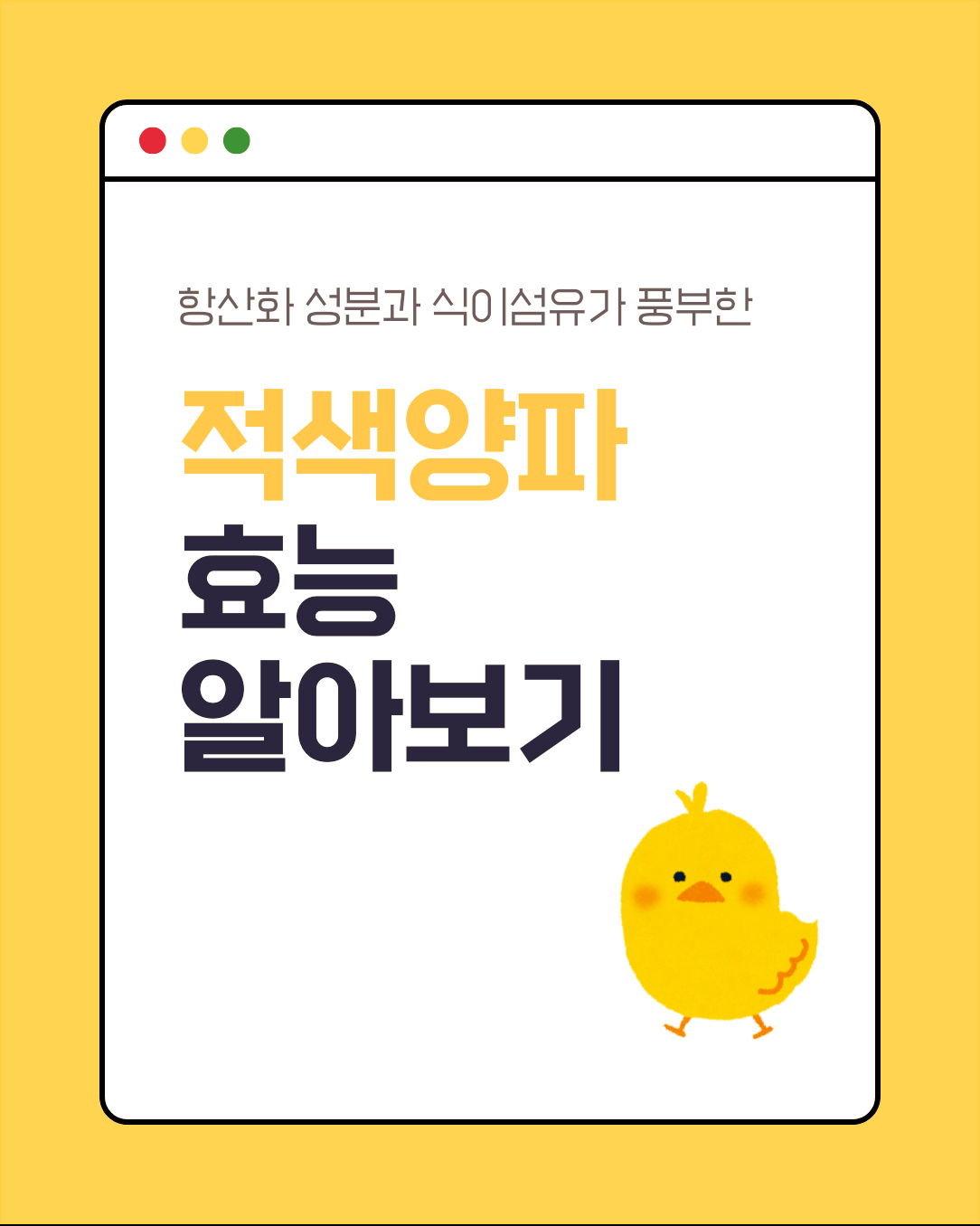항산화 성분과 식이섬유가 풍부한 적색양파 효능 알아보기