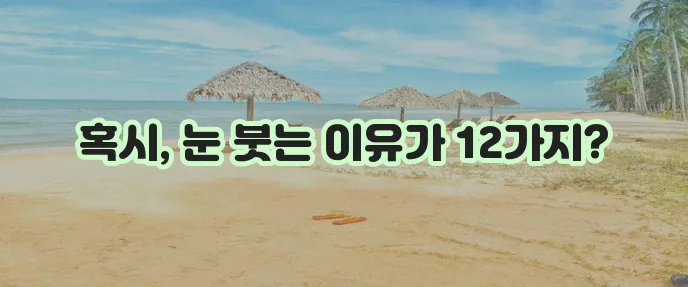 눈이 붓는 증상 원인 12가지 꼭 알아두세요!