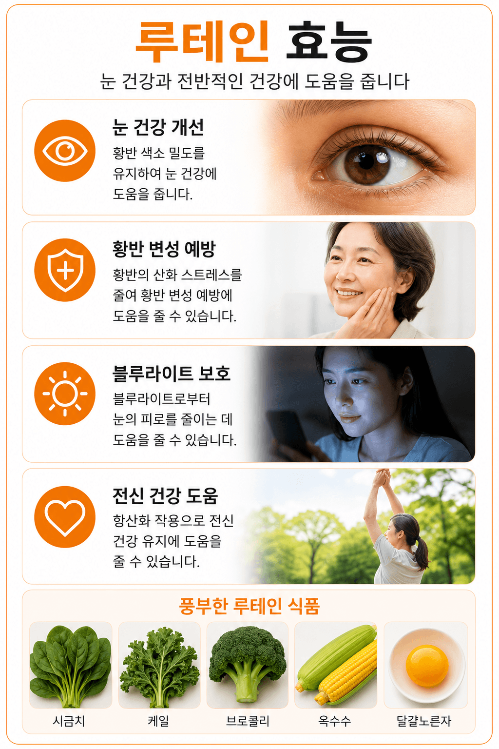 루테인 효능