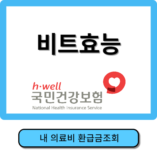 비트효능
