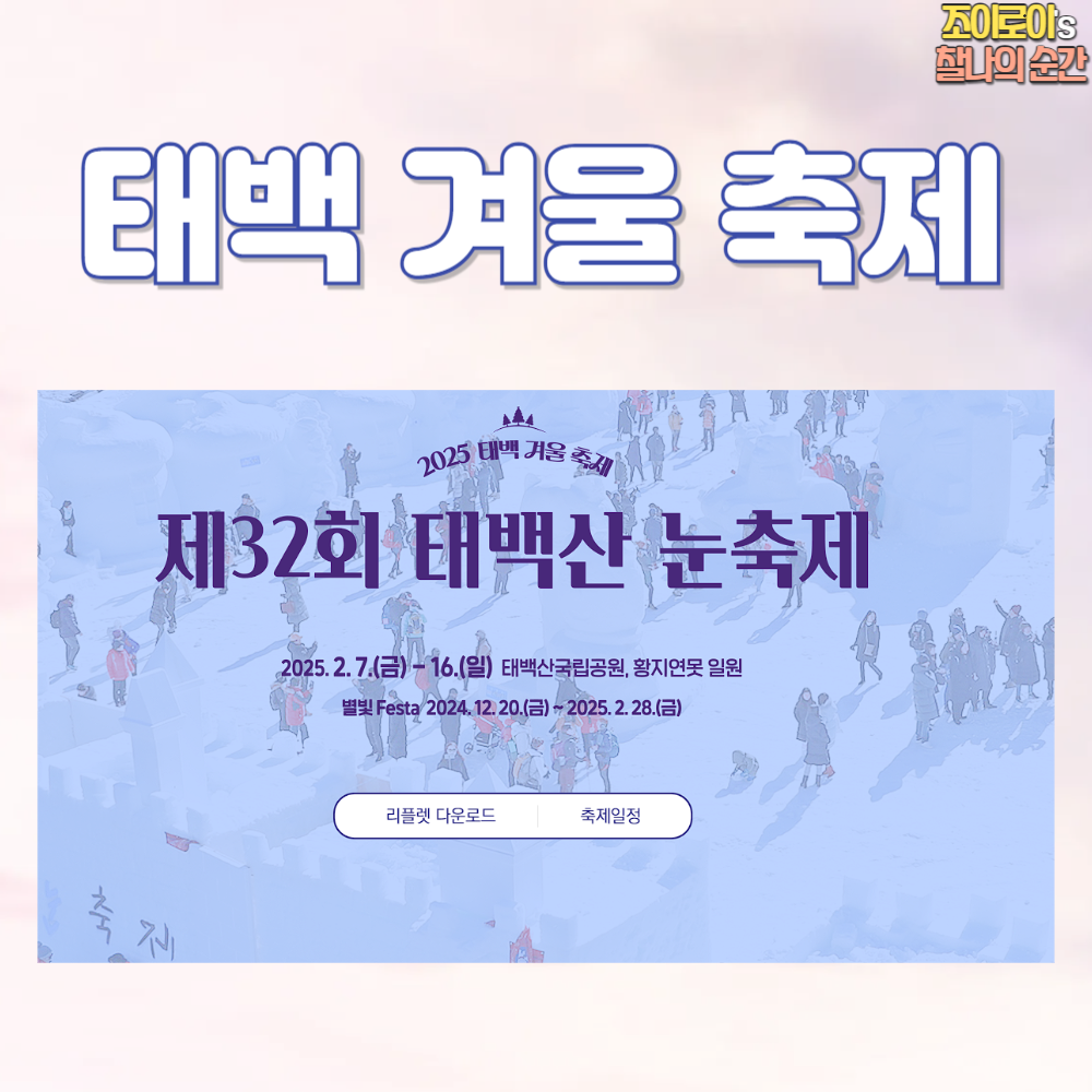 태백 겨울 축제 입장료 주차 정보