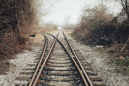 집행유예 결정 과정