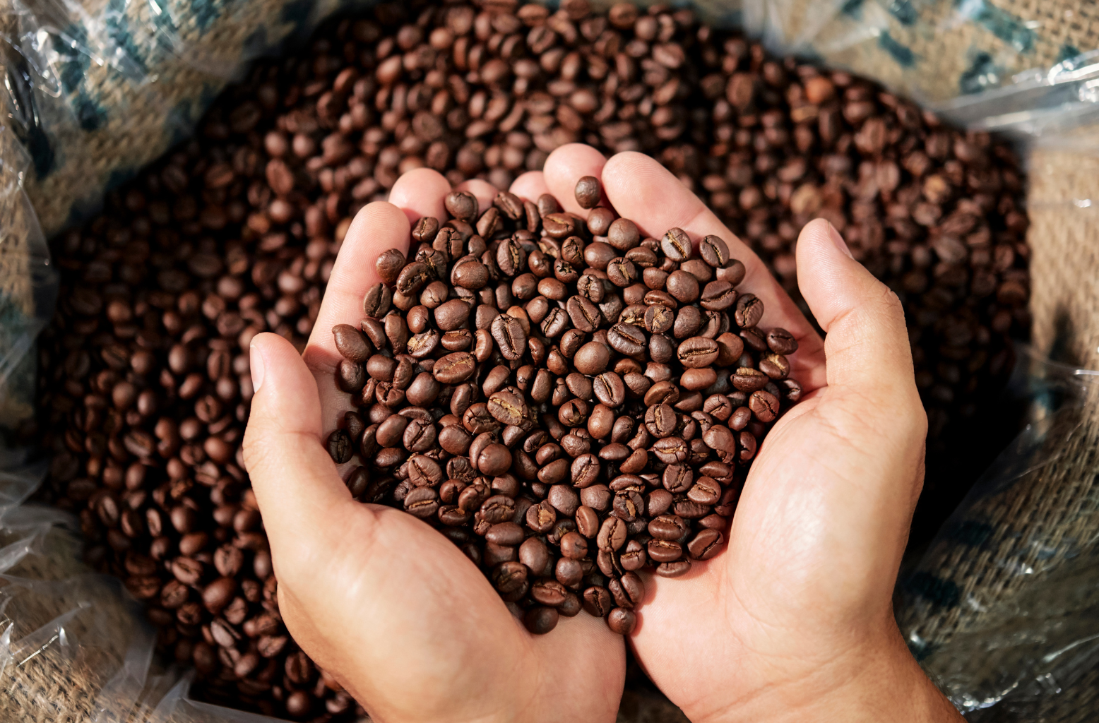 원두 보관 방법