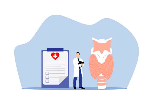 갑상선그림과의사