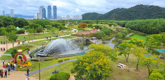 울산 밀양국밥, 6시 내고향 선정