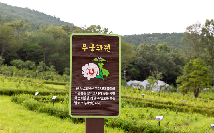 보령 무궁화수목원