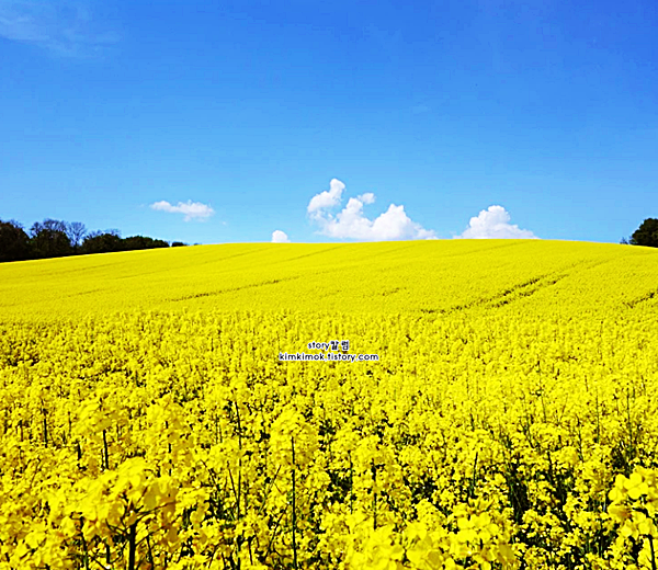 4월 인사말 문구