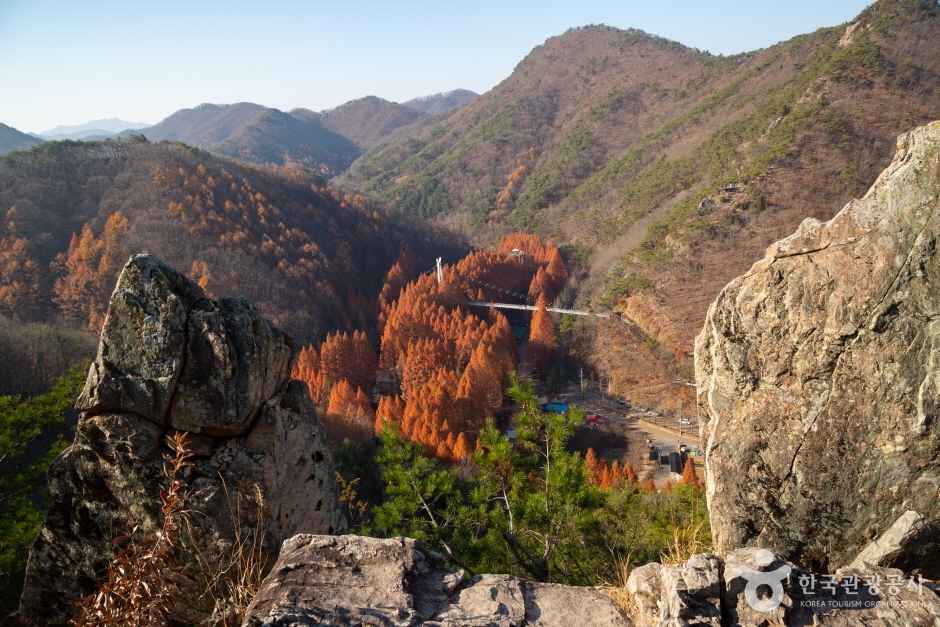 장태산자연휴양림