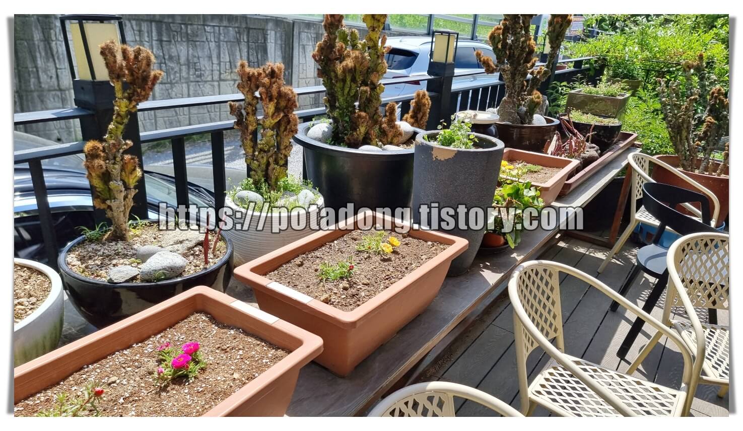 장모밥상 한정식 맛집