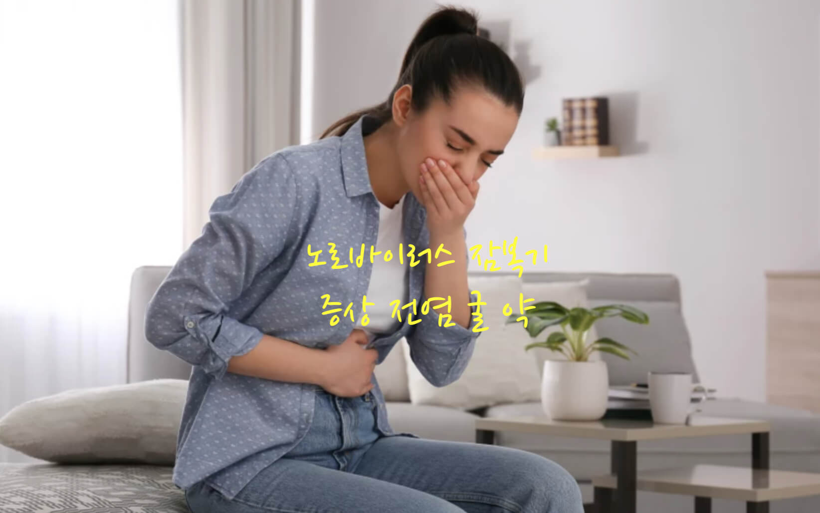 노로바이러스 증상