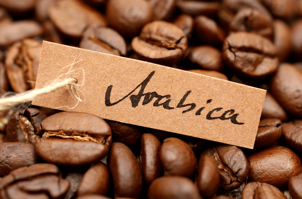 7 Pod Nespresso Vertuo Terbaik Untuk Kopi Americano