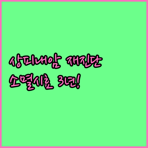 재진단비 소멸시효 3년 상피내암 인정..