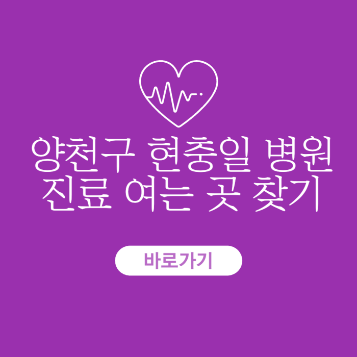 양천구-현충일-병원-진료-여는-곳-찾기