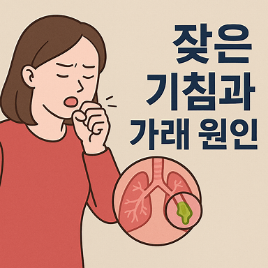 잦은 기침과 가래, 혹시 만성 질환의 신호일까? 증상별 원인과 관리법