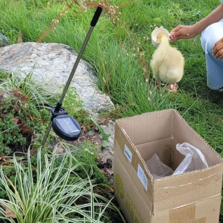양재천 천천투어