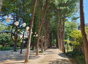 가족과함께할국내여행지