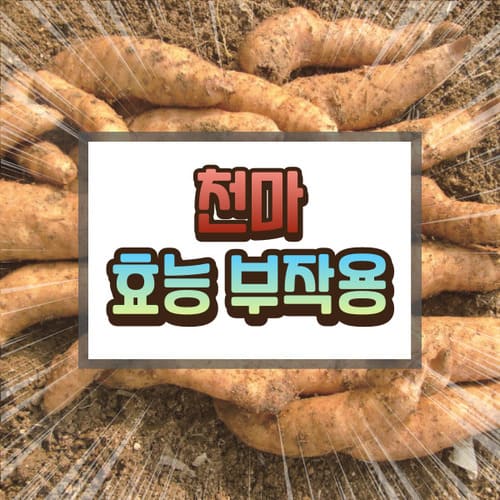 천마 효능 부작용