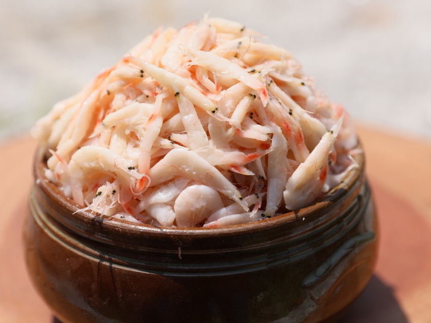 굴다리식품 정보 안내