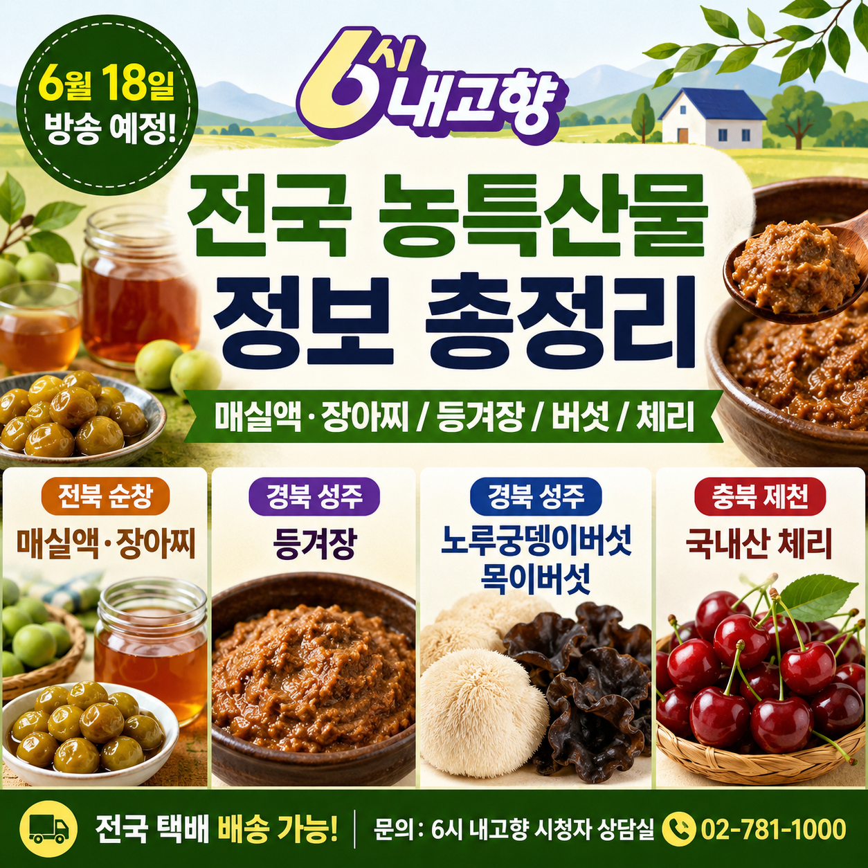 6시 내고향