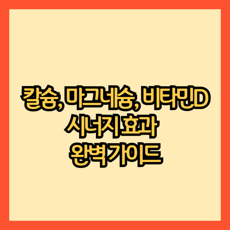 칼슘,마그네슘,비타민d