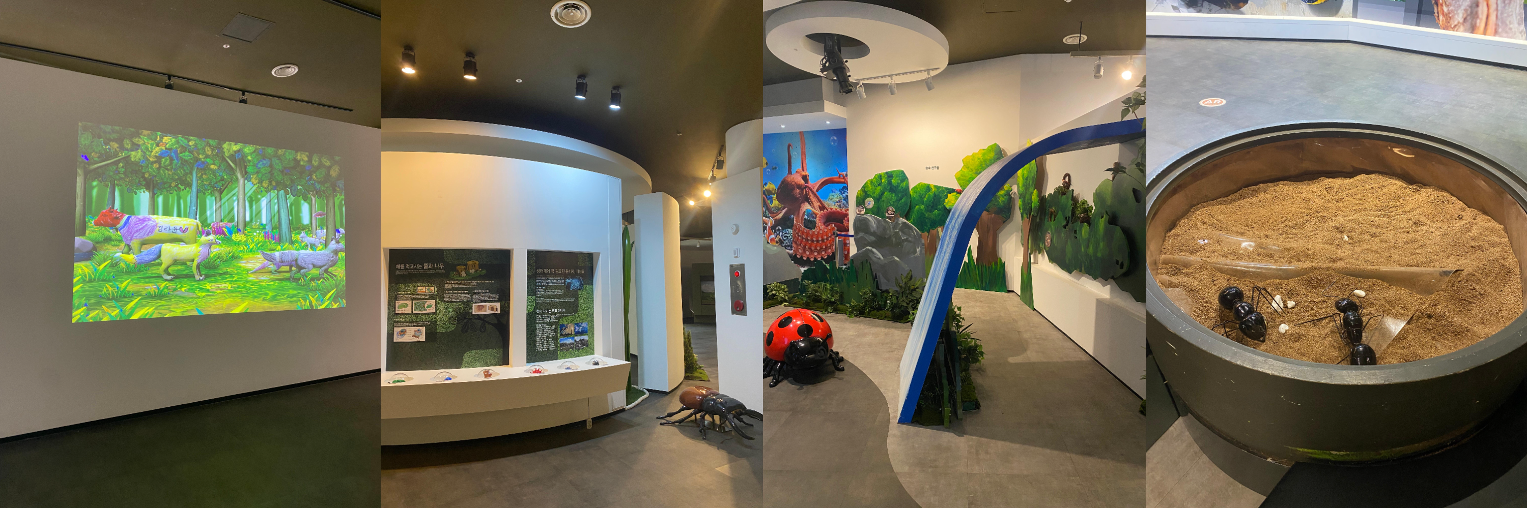 충주 자연 생태 체험관 전시실
