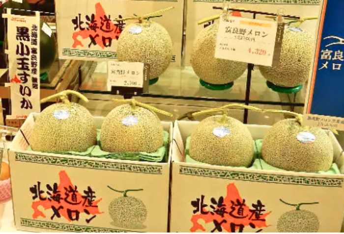 홋카이도 유바리 멜론