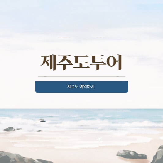제주도 항공권