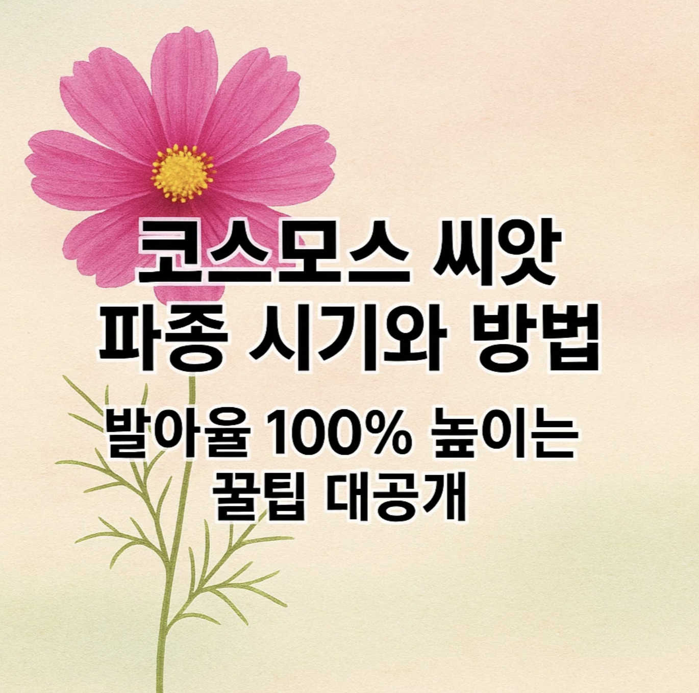 코스모스 씨앗 파종 시기와 방법, 발아율 100% 높이는 꿀팁 대공개