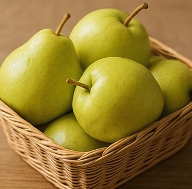 변비에 좋은 음식 변비해결방법