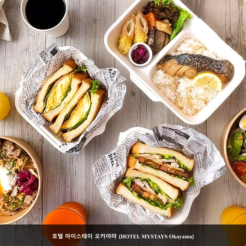 호텔 마이스테이 오카야마 (HOTEL MYSTAYS Okayama)_5