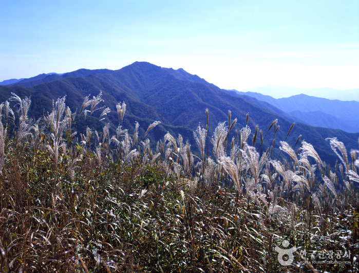장수 가볼만한곳 베스트10