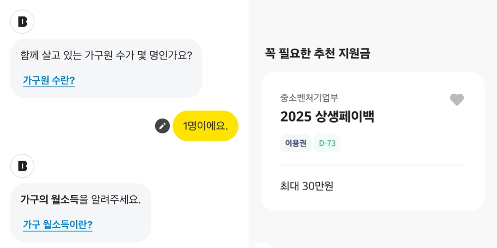 카카오뱅크 정부지원금 신청하셨어요?