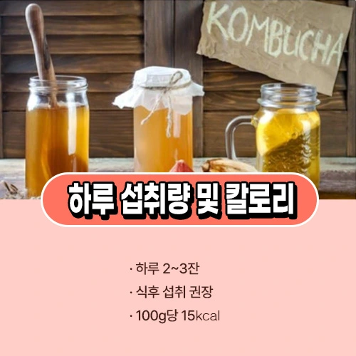 콤부차 하루 섭취량