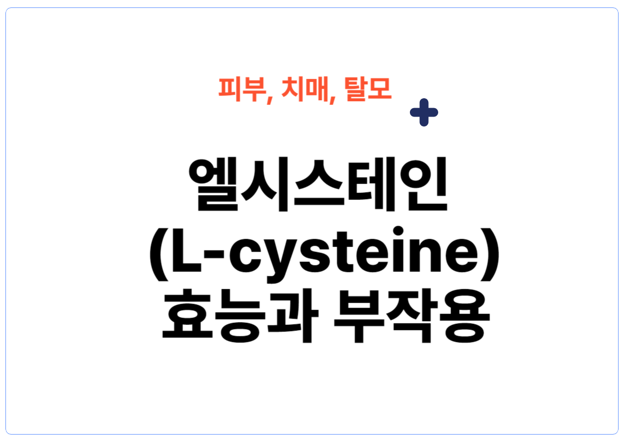 엘시스테인 효능 중 피부, 치매, 탈모 등 효능이 있는데요~ 이 작은 아미노산이 어떻게 우리의 면역 체계를 강화하고, 피부와 머리카락에 생기를 불어넣으며, 심지어 우리의 기분까지 밝게 만들 수 있는지 비밀을 함께 풀어봅시다.