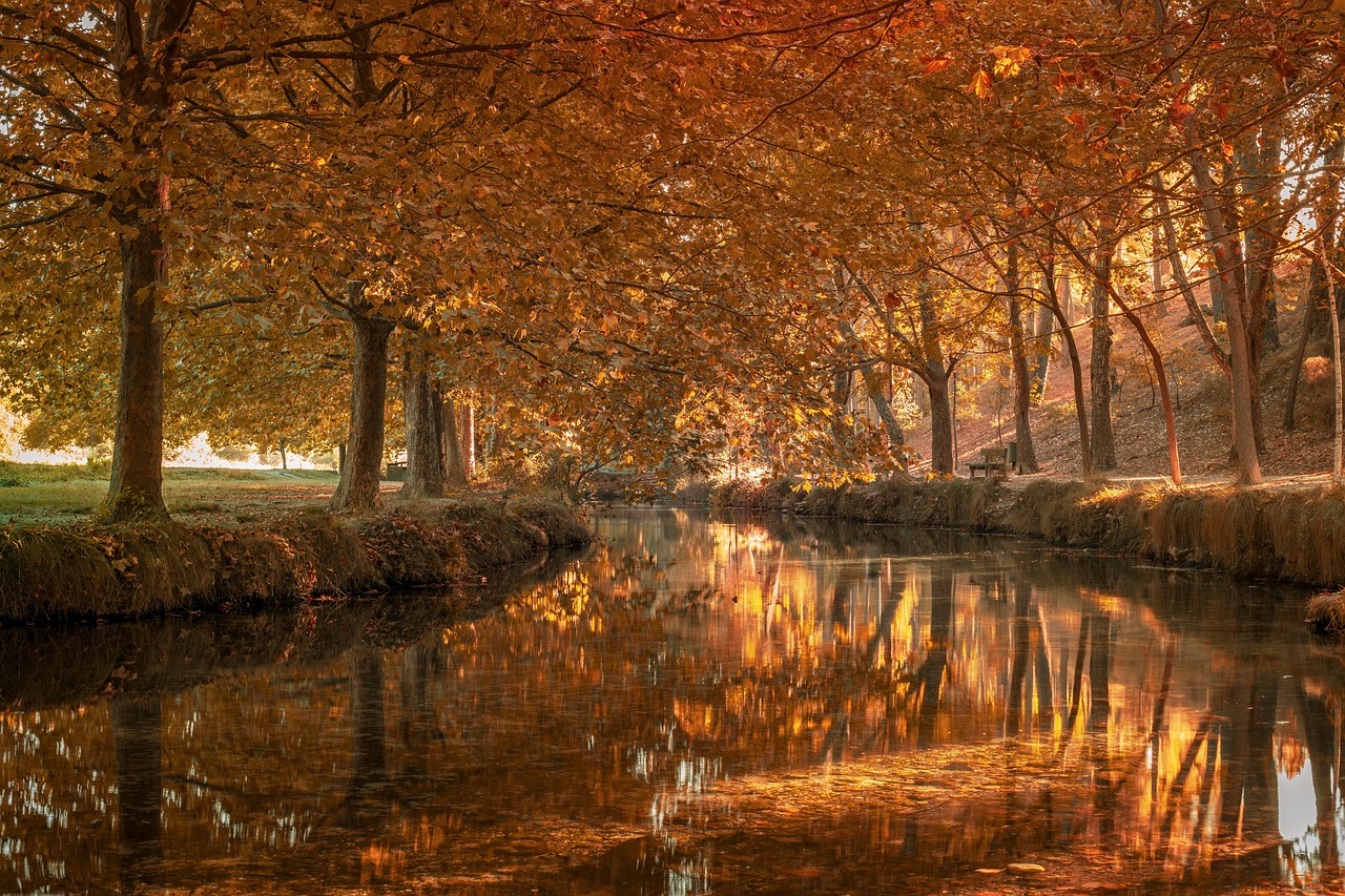 고층 빌딩 내 수직형 아쿠아포닉스 타워 설계: 도심 속 미래 농업의 혁신적 공간 활용법