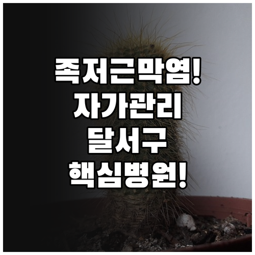 족저근막염 자가관리와 대구 달서구 전..