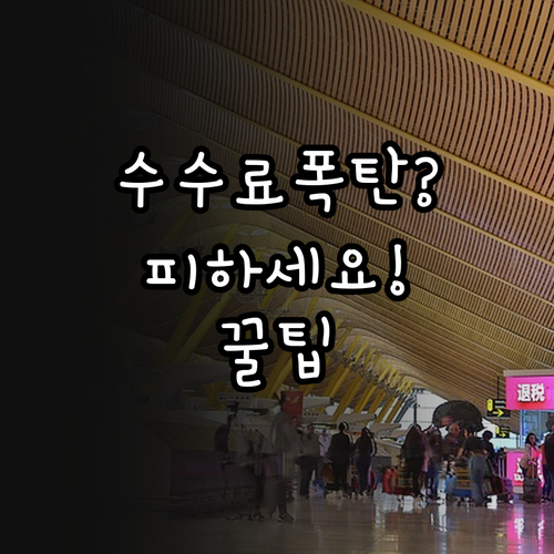 북경수도항공 항공권 취소 수수료, 이..
