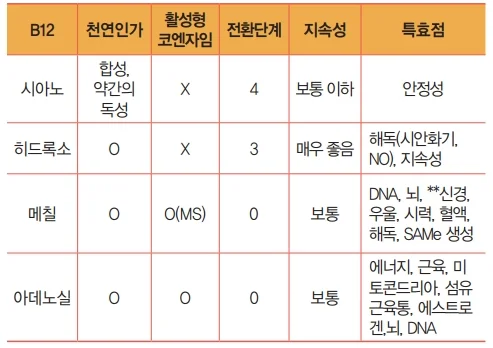 출처 : 한국의약통신, <B12의 4가지 형태의 특징과 활용>