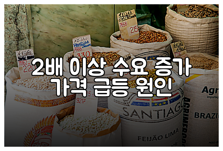 2배 이상 수요 증가 가격 급등 원인