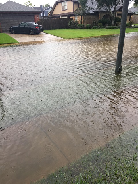 도시 주택가 침수된 모습