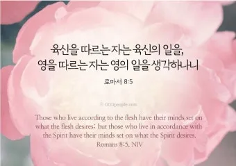 로마서 8장 성령 생명 묵상_8