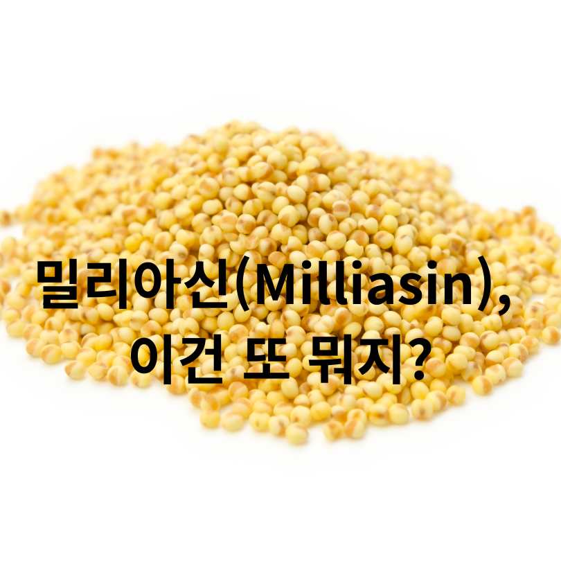 기장 속 밀리아신 효능 완벽 분석
