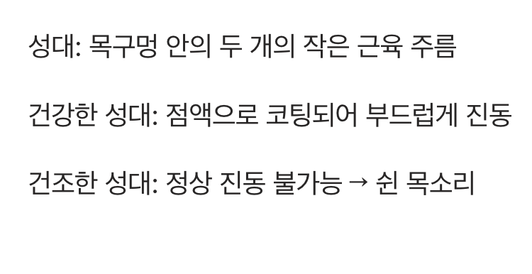 우리 목소리는 어떻게 만들어질까?