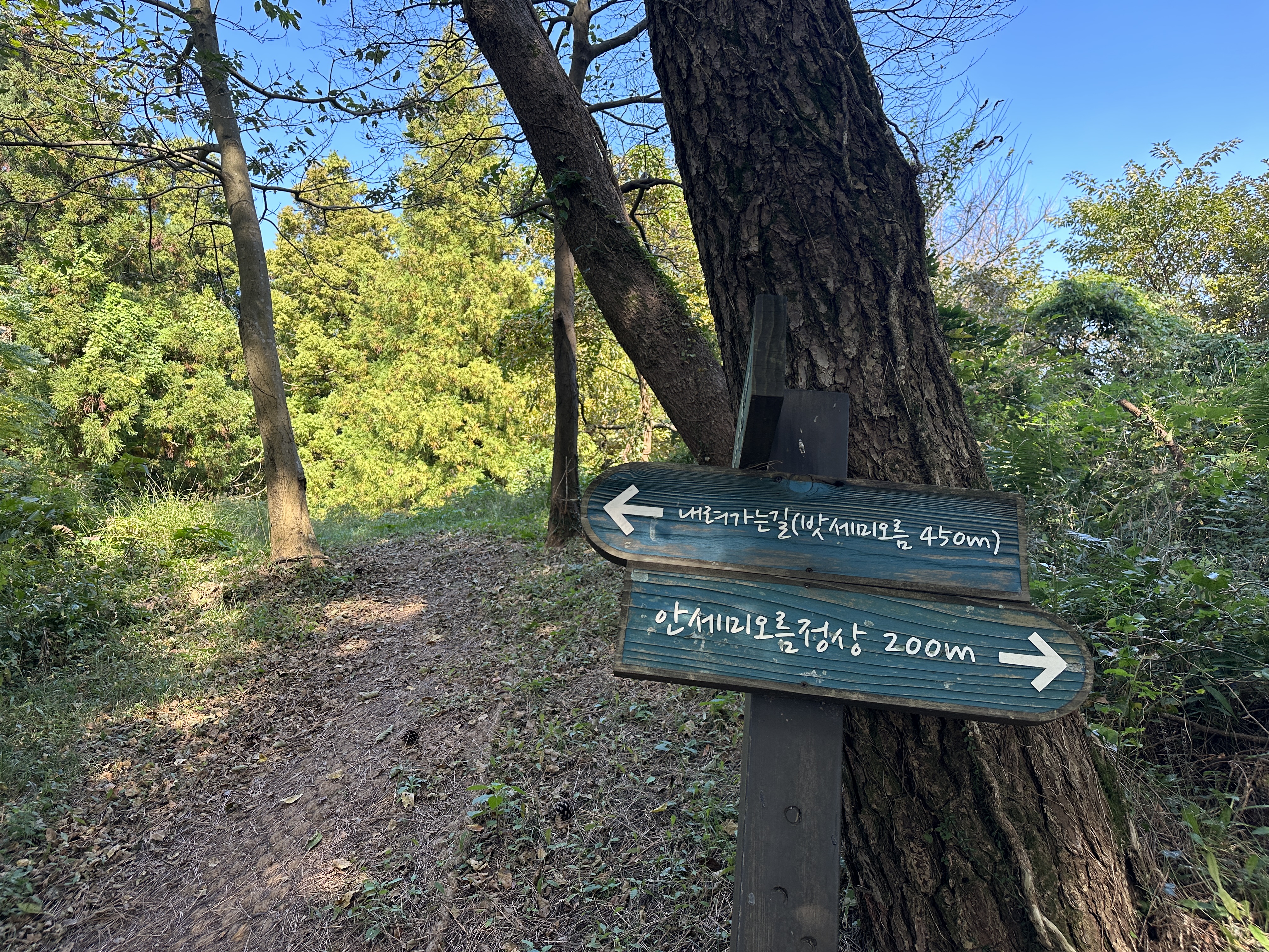 안세미 오름 탐방로