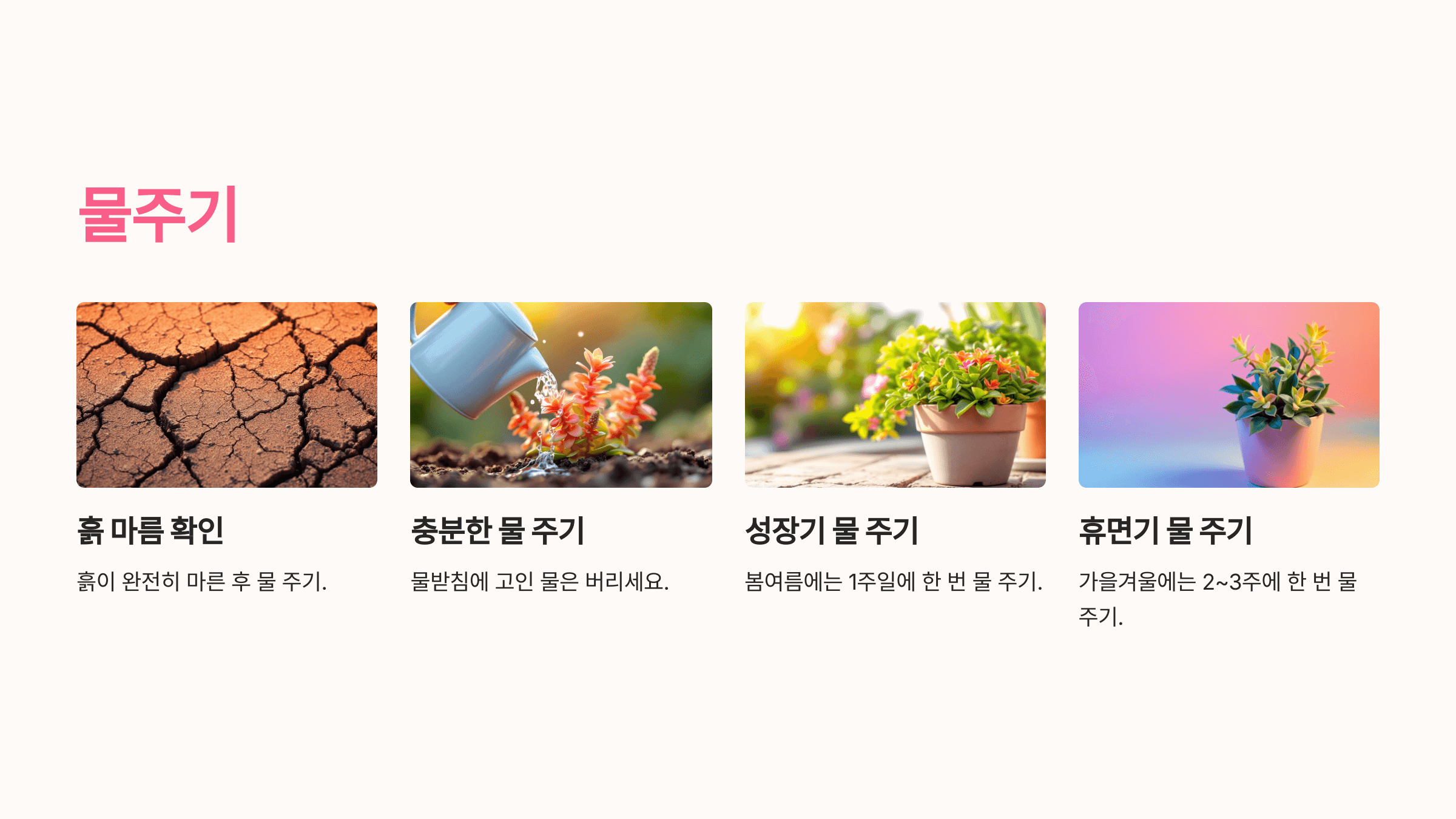 칼랑코에 사진입니다.