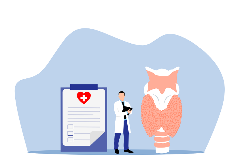 갑상선의 모든 것: 작지만 강력한 내분비샘의 비밀