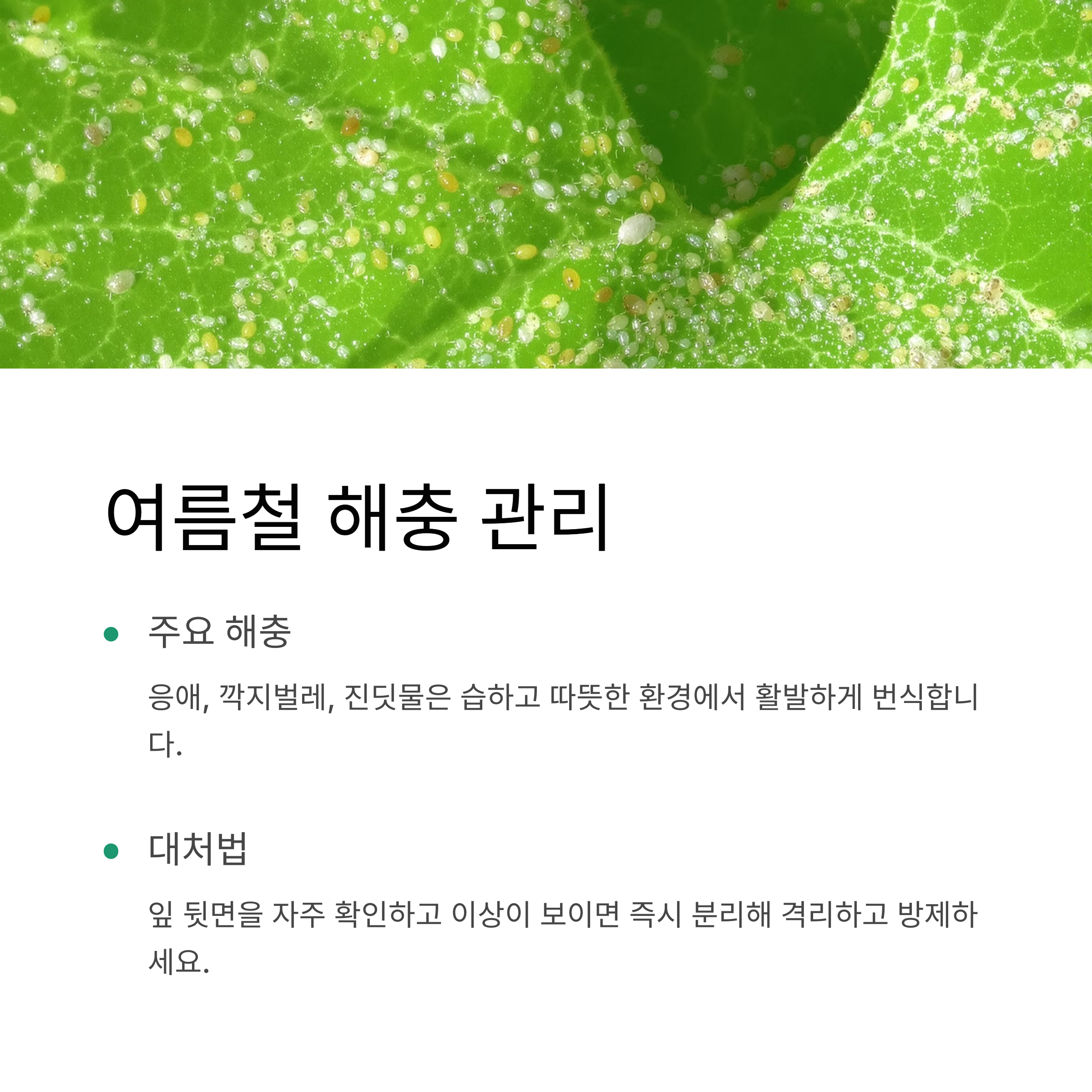 해충 관리