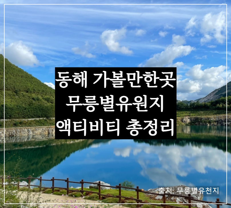 강원도 동해 가볼만한 곳 무릉별유천지 완전정복! 루지부터 짚라인까지 액티비티 총정리