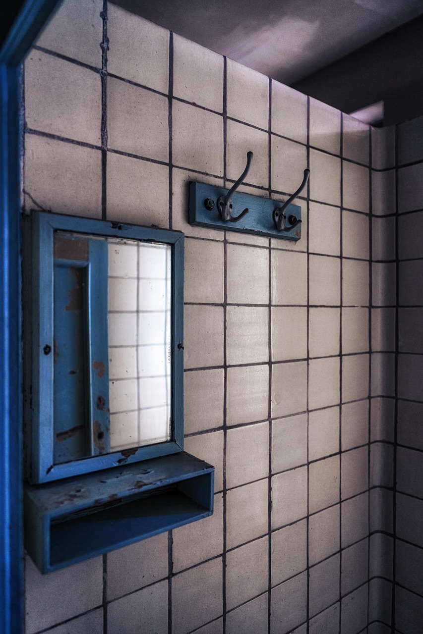 영화 '기생충'이 그린 단면 (반지하의 탄생, 계층, 도시빈곤)