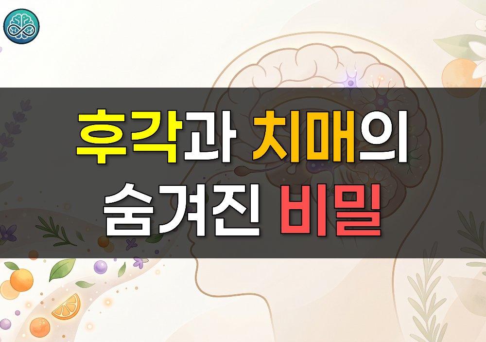 후각과 치매의 숨겨진 비밀 - 냄새 못 맡으면 뇌 건강 적신호? (자가진단법 포함)
